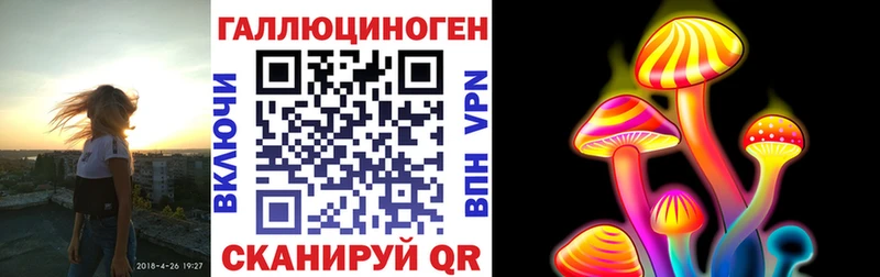 Купить  Белоусово  Галлюциногенные грибы Cubensis 